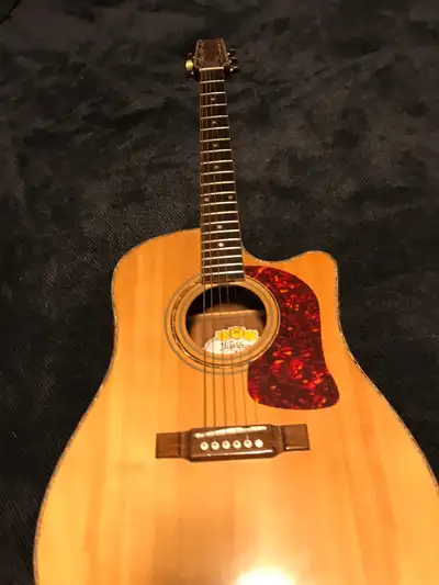 Washburn Acoustic Guitar, View more