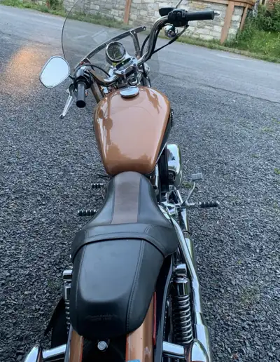 2008 Harley Davidson sportster 1200 anniversary ( Harley Davidson no longer makes the Sportster) Bik...