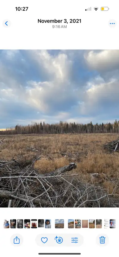 Raw land for sale 71.4 acres mixed bush and grass. Located at Niton junction, txt for more details 7...