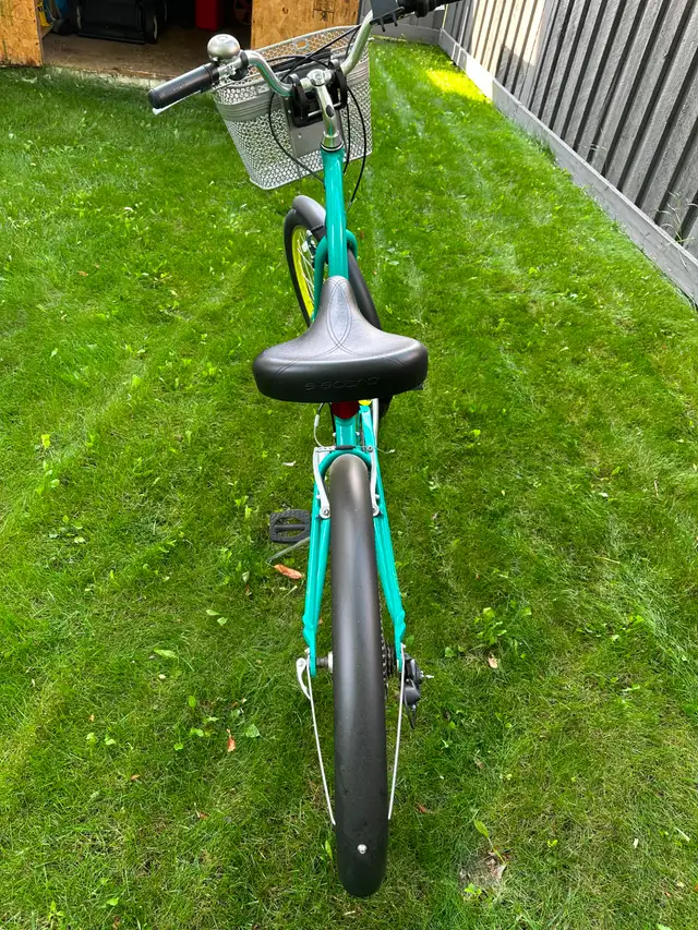 Electra Townie bicycle523049776396390406