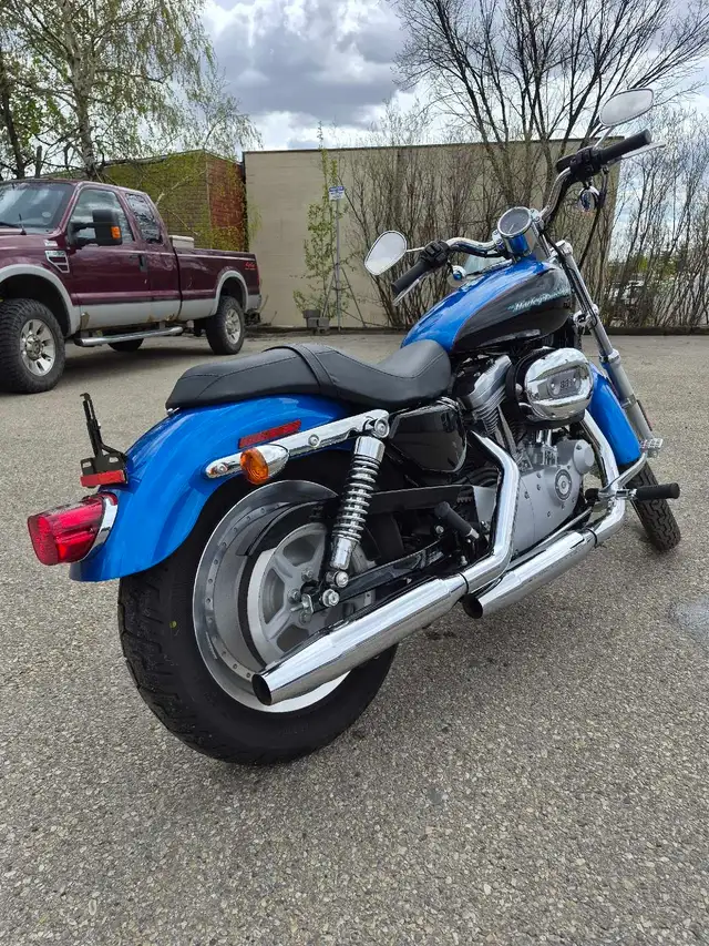 2004 Harley Davidson Sportster 883 -1923 km in Street, Cruisers & Choppers in Edmonton - Image 3