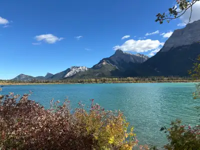 Growth in a friendship, View more