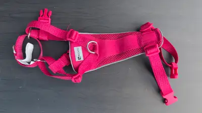 RC pets Dog Harness Pink S size, View more