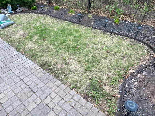 Sod-Supply & Install 62863270919043122