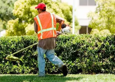 Immediately hiring 4 people for lawncare/ yardwork / landscaping in The GTA. $18/HR. Start making mo...
