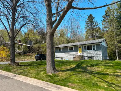 2 bdrm 1 bath, pet friendly apt. All utilities included.