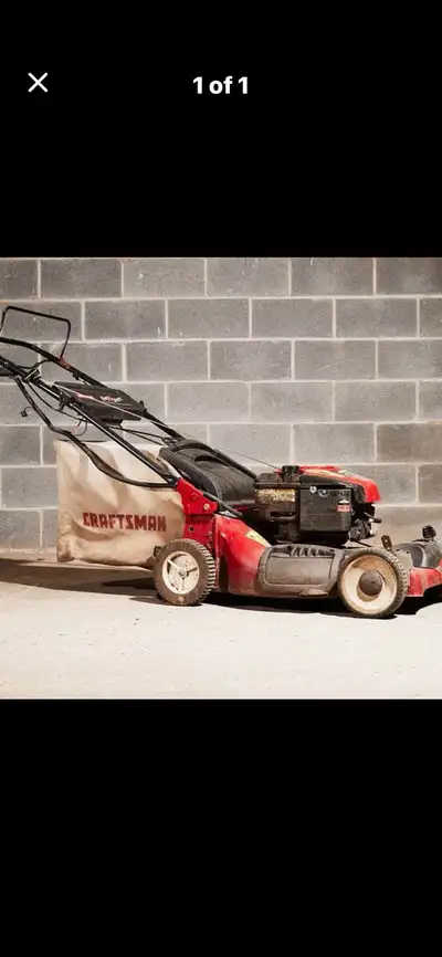 Mobile on snowblower - lawnmowers tune up, change the oil, spark, View more