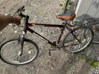 Free Bikes/scooter
