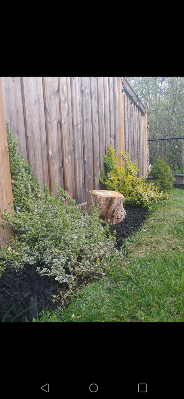 Landscaping business!! in Other in Oshawa / Durham Region - Image 3