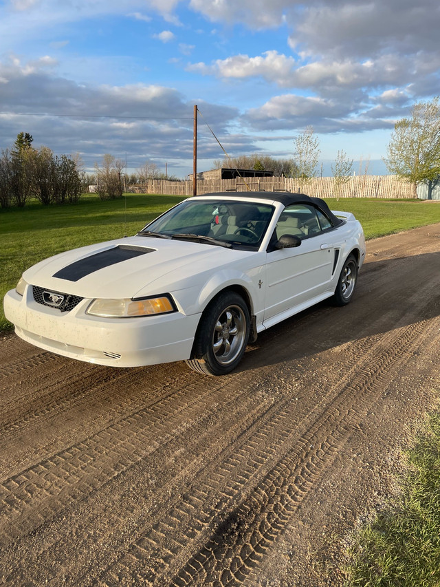 2000 ford mustang  in Cars & Trucks in Regina - Image 3
