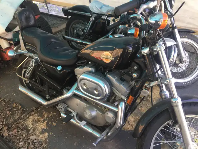 Harley Davidson Motorcycle in Touring in Cornwall - Image 4