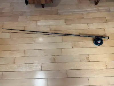 Perche à pêche Fenwick 8' Eagle GLC en très bon état. Reel inclus. N'as pas été utilisé depuis plusi...