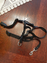 DOG ACCESSORIES FOR SALE