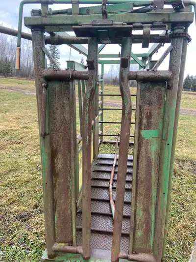 I am selling a used cattle chute with a palpation cage, ideal for livestock management and veterinar...