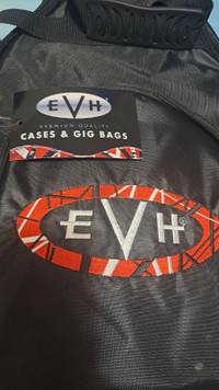 EVH Striped Gig Bag.