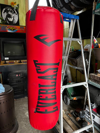 Everlast 80lb punching bag & accessories