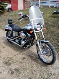 2003 Harley Davidson Dyna Wide glide