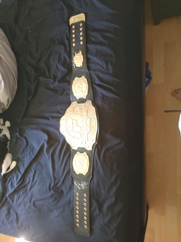 Replica UFC belt  for sale  
