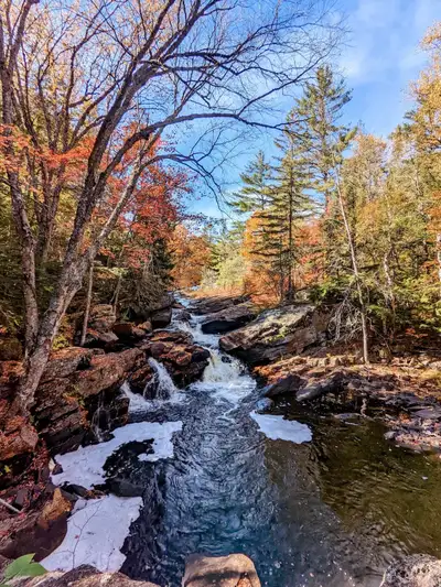 Algonquin Provincial Park Camping Reservation Transfer, View more