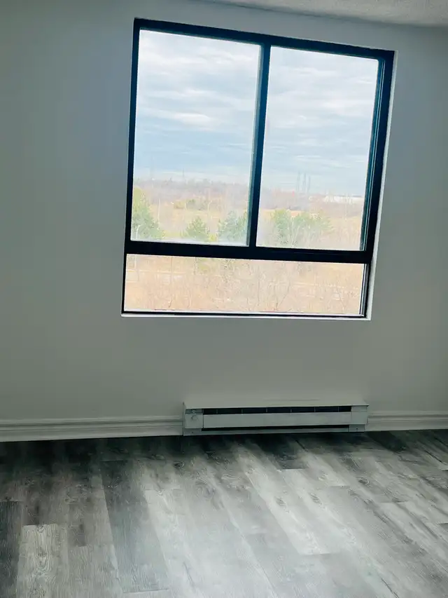 dreamfix renos63672037433347124