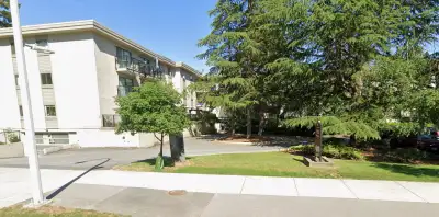 1 bd and bath just renovated and freshly painted, walking distance to schools, shops and transportat...