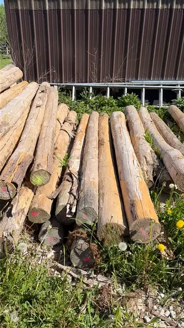 cedar fence posts 6" x 8`, View more