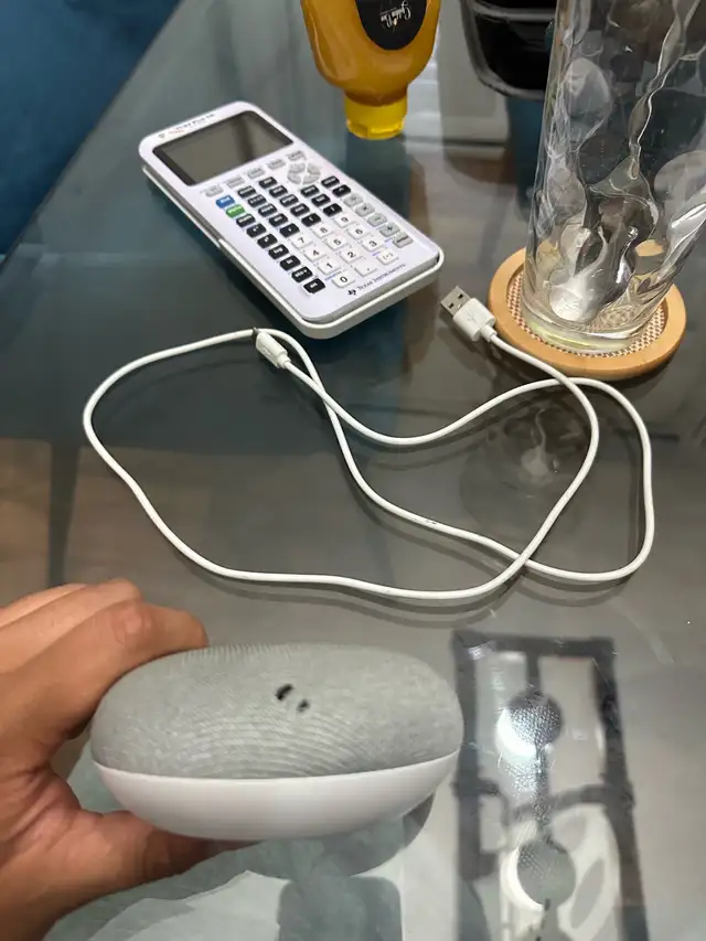 Google home mini 1st gen 471851187401533443