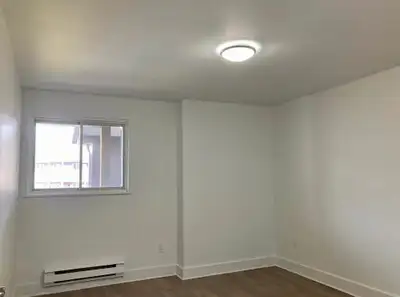 11.5' x 11.5' room with a 7' x 2' double door closet. Pet friendly rental, 1 large dog living here,...