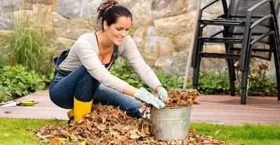 Gardening / Lawnwork, View more