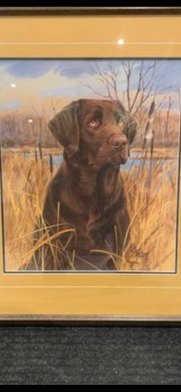 Chocolate Lab items (4) - see in Ad