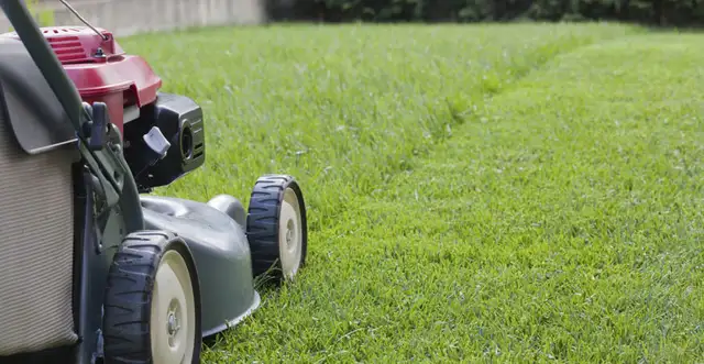 Lawn Mowing services628632212768031214