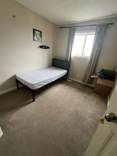 Roommate