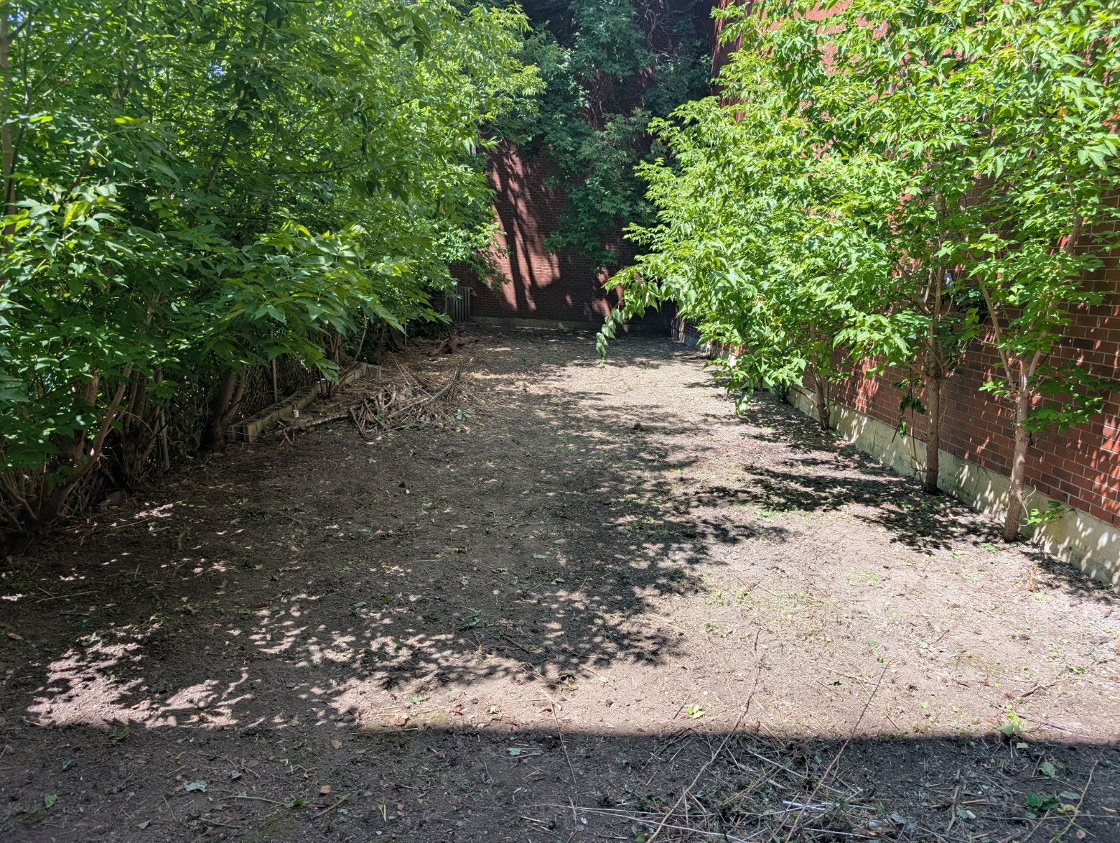 4 1/2 with yard in Verdun — photo 1