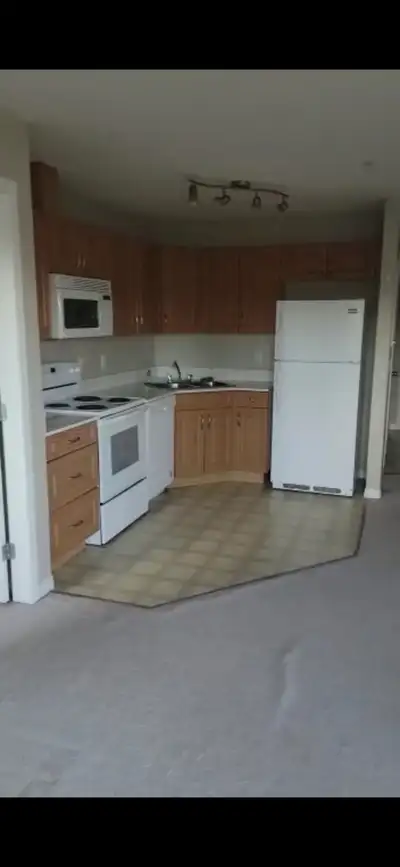 Room for rent in a beautiful large 2 bedroom apartment