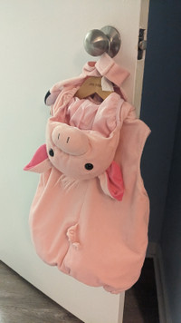 Pig Costume