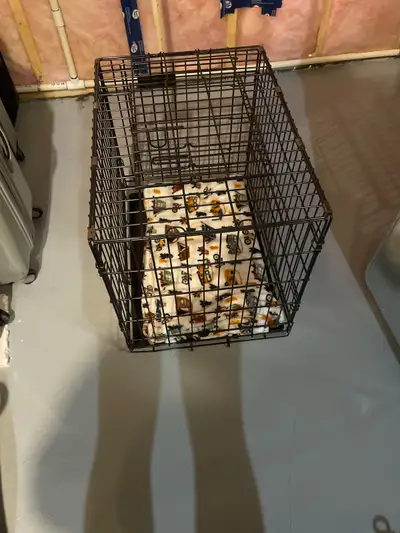 Small Dog Cage, View more