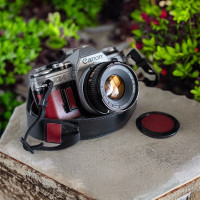 Canon AE-1 film camera (pewter / burgundy)