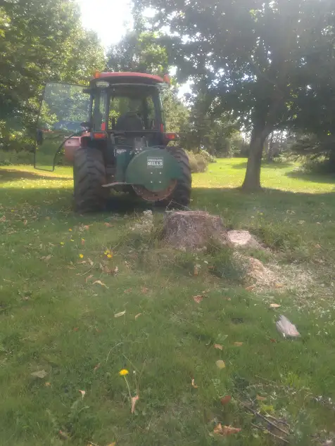 Handyman Services; Trees; Fences; Decks; Lawns; Driveways in Lawn, Tree Maintenance & Eavestrough in Summerside - Image 8