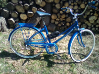 Beautiful Blue Bike from Brazil