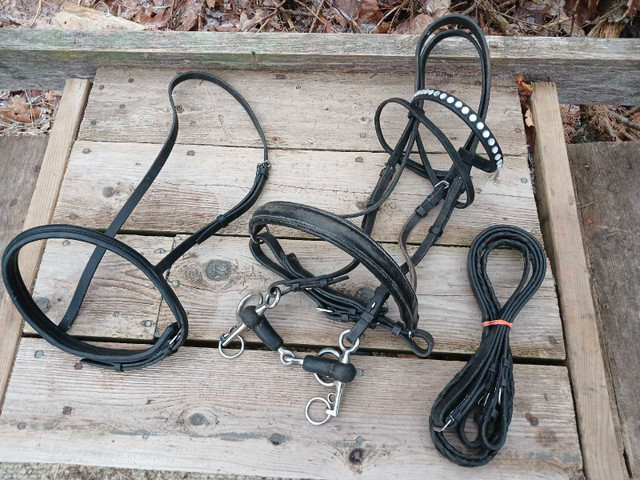 Tack, Mini, Pony,  Bitless, English, in Equestrian & Livestock Accessories in Gatineau - Image 3