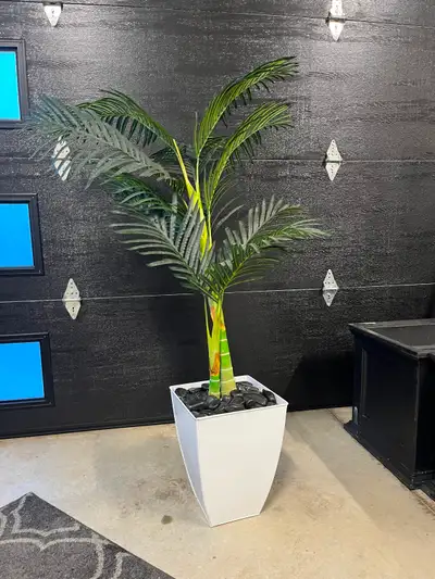 Fake outdoor palm tree from homesense, View more