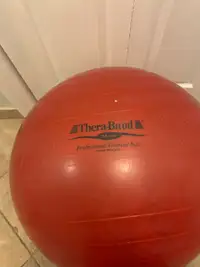 Thera-Band Professional Exercise Ball
