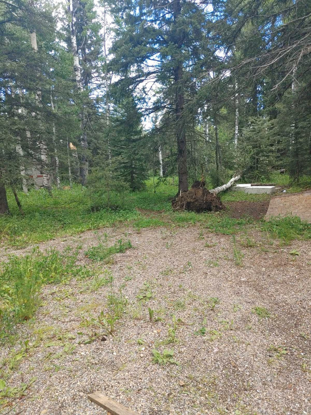 Backwoods Camping in Alberta