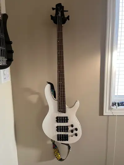 Amazing sound for an entry level bass. Bought it a few years ago and have not used it nearly enough....