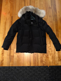 Canada goose for sale kijiji outlet