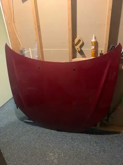 2008 Hyundai Tiburon hood
