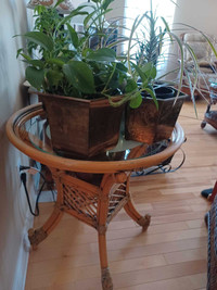 Table rotin et chariot décoration pour plantes 