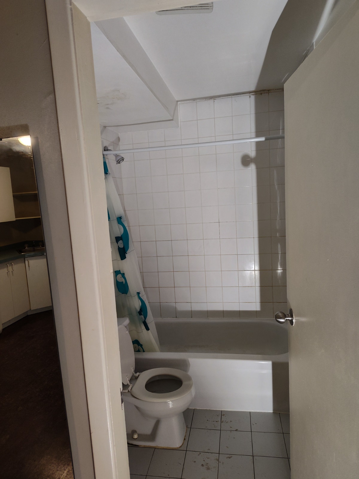 Rooms in shared apartment, immediate or Sep 1, near downtown — photo 3