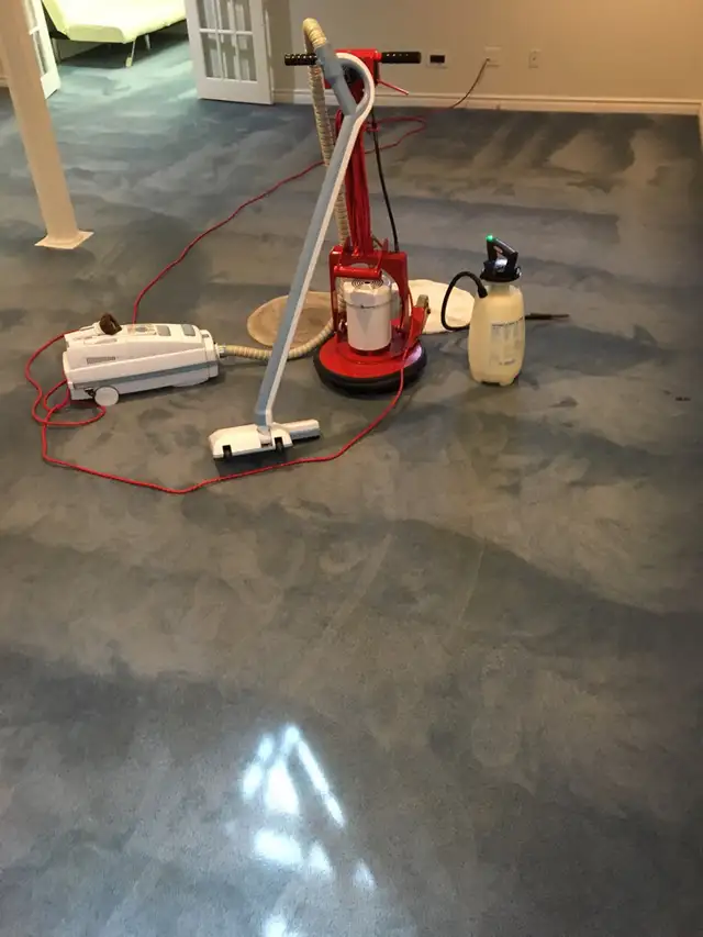 carpet cleaning 414910984948951043