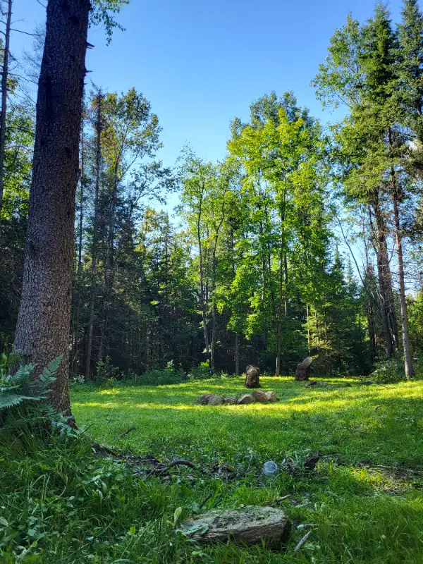 Land for sale Haliburton62863756865921120